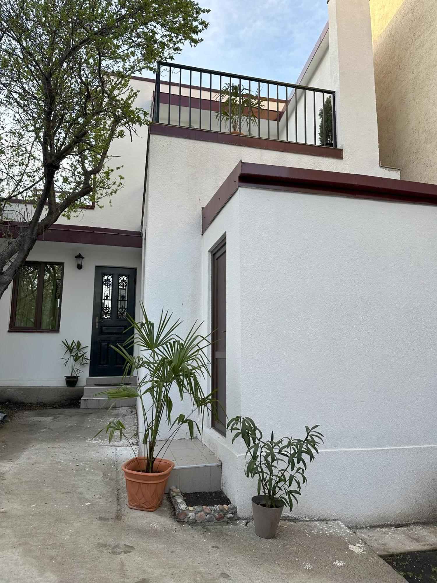 Three Palms Guest House Tbilisi Exteriér fotografie